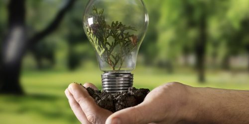 Nobreaks e Sustentabilidade: como reduzir o impacto ambiental e otimizar o consumo energético